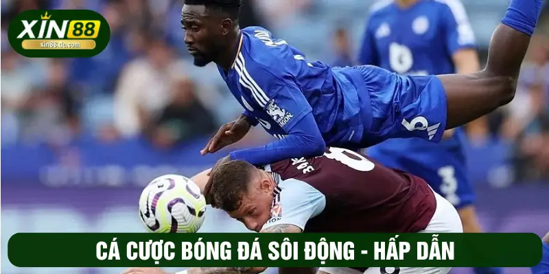 Cá cược bóng đá sôi động, hấp dẫn