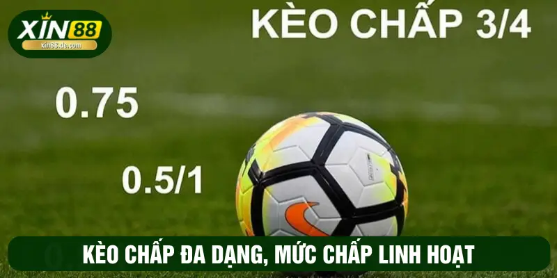 Kèo chấp đa dạng, mức chấp linh hoạt