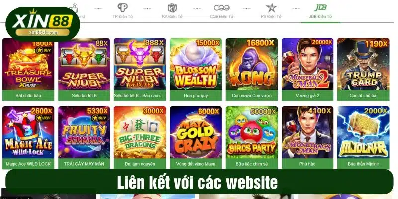 Liên kết với các website 