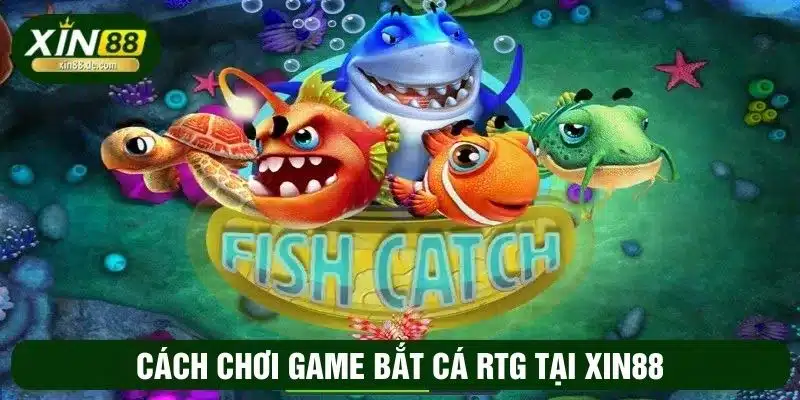 Cách chơi game bắt cá tại RTG cực đơn giản