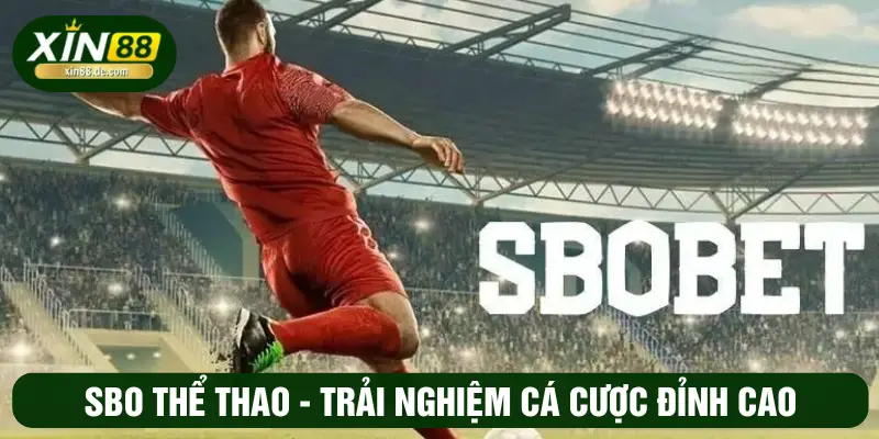 SBO thể thao - Trải nghiệm cá cược đỉnh cao