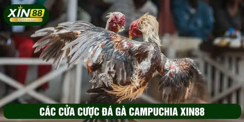 XIN88 cung cấp nhiều cửa cược hấp dẫn