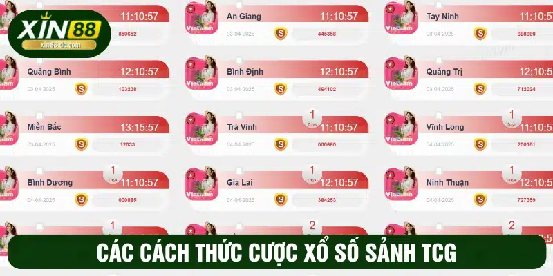 Tổng hợp các hình thức cược tại sảnh TCG