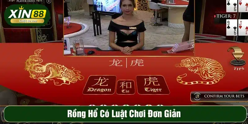 Cách chơi Rồng Hổ diễn ra nhanh, tốc độ