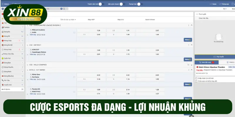 Cược Sports đa dạng - Lợi nhuận khủng