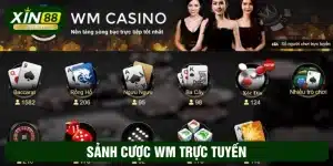 WM trực tuyến