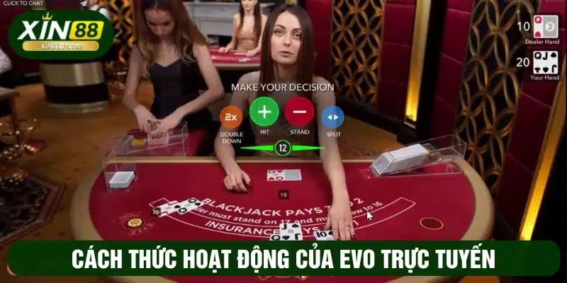 Cách thức hoạt động của EVO 
