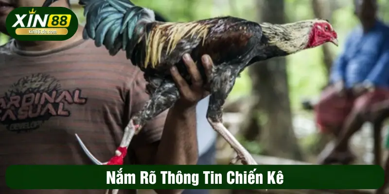 Nẵm rõ thông tin chiến kê