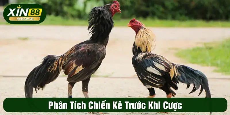 Phân tích chiến kê trước khi cược