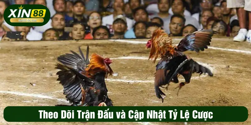 Theo dõi trận đấu và cập nhật tỷ lệ cược