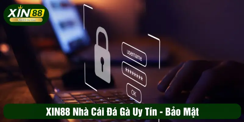 XIN88 nhà cái đá gà uy tín, bảo mật