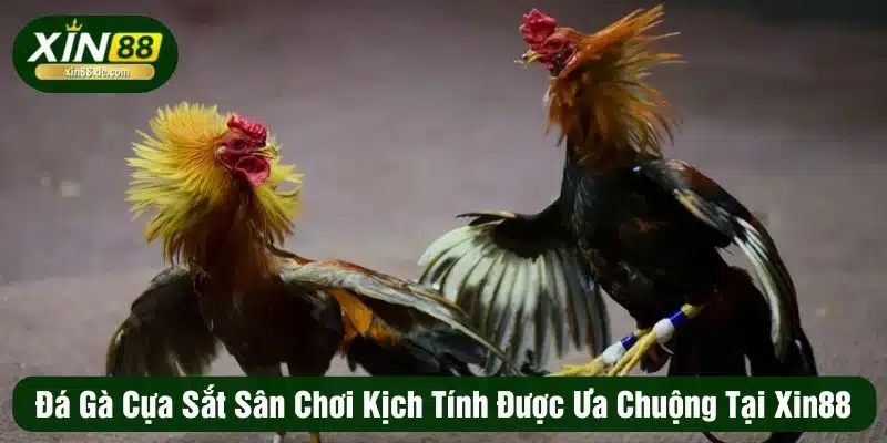 Đá gà cựa sắt