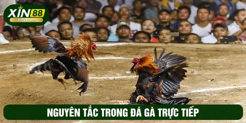 Nguyên tắc về trọng tài đảm bảo tính công bằng