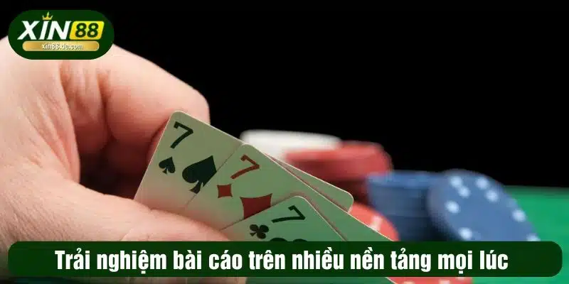 Trải nghiệm bài cáo trên nhiều nền tảng mọi lúc 