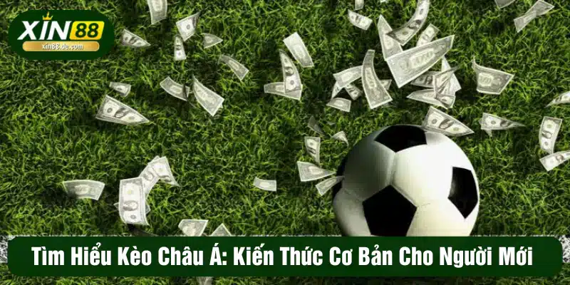 Tìm hiểu kèo châu Á: Kiến thức cơ bản cho người mới bắt đầu