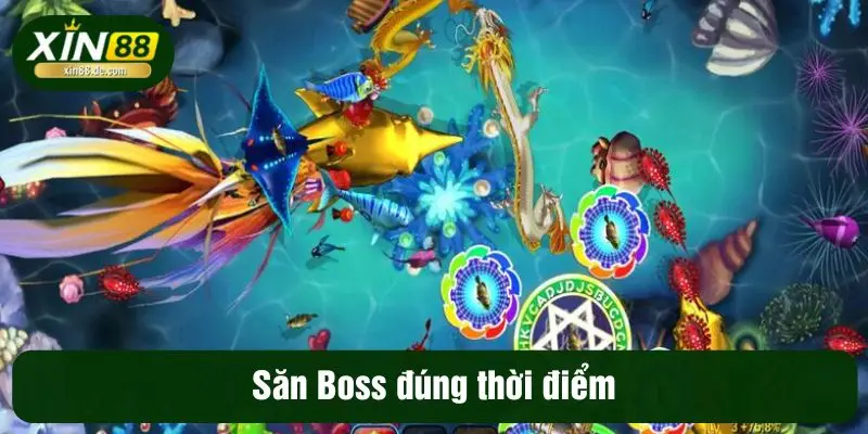 Săn Boss đúng thời điểm