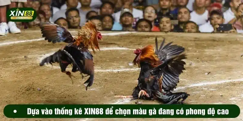 Dựa vào thống kê XIN88 để chọn màu gà đang có phong độ cao