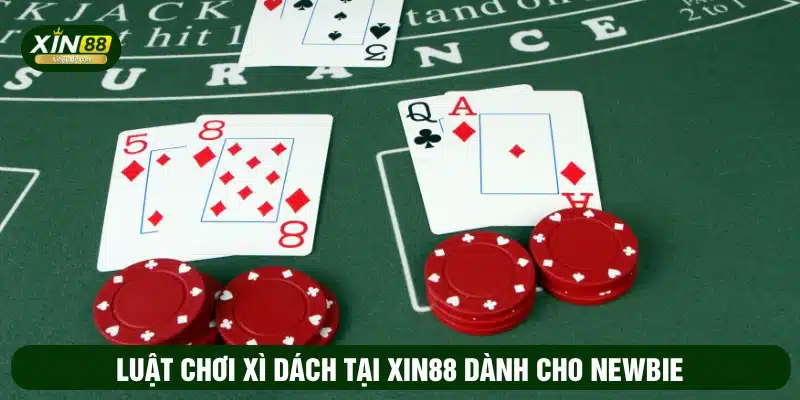 Luật chơi xì dách tại XIN88 dành cho newbie