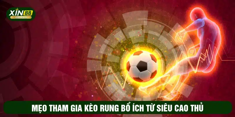 Mẹo tham gia kèo rung bổ ích từ siêu cao thủ