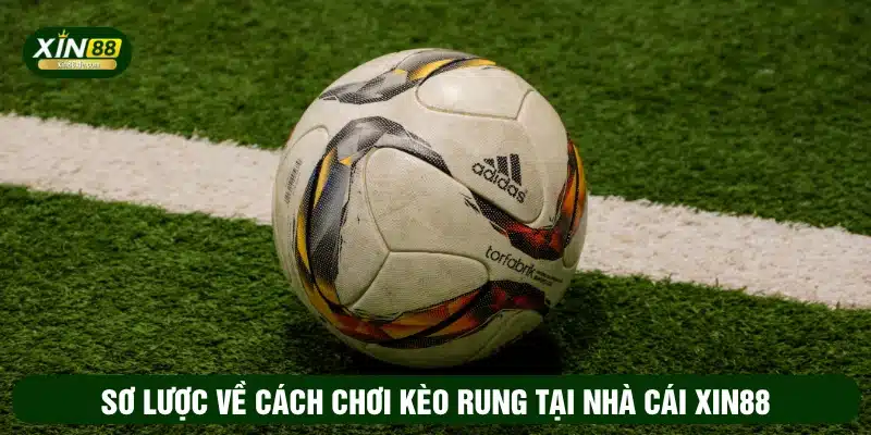 Sơ lược về cách chơi kèo rung tại nhà cái XIN88