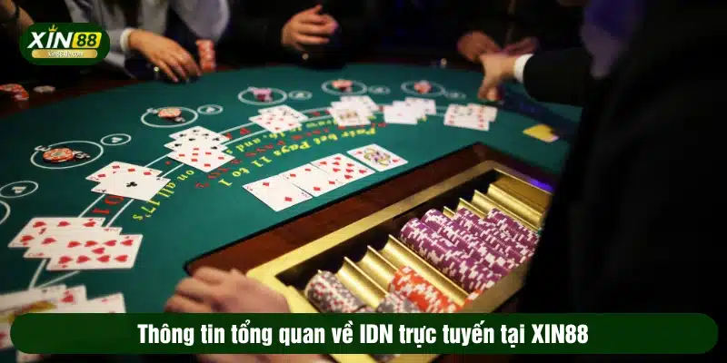 Thông tin tổng quan về IDN trực tuyến tại XIN88