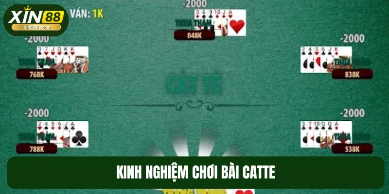 Bí kíp đánh bài Catte bất khả chiến bại của chuyên gia