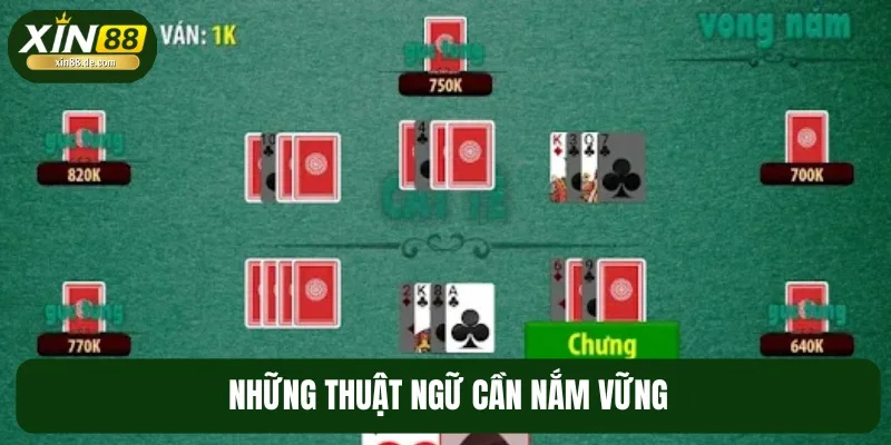 Một số thuật ngữ mà bạn cần biết trong game bài Catte