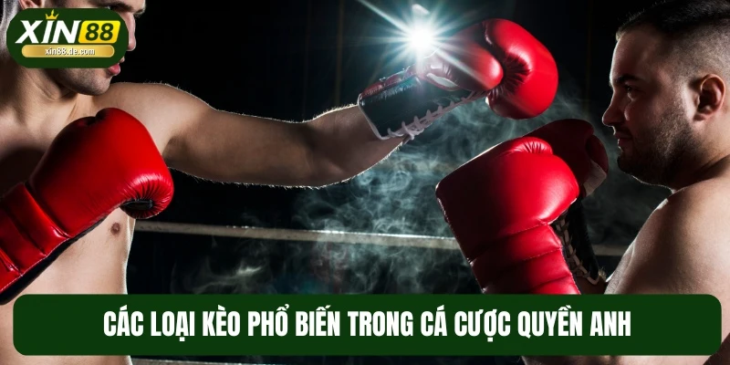 Một số loại kèo cá cược quyền anh phổ biến nhất