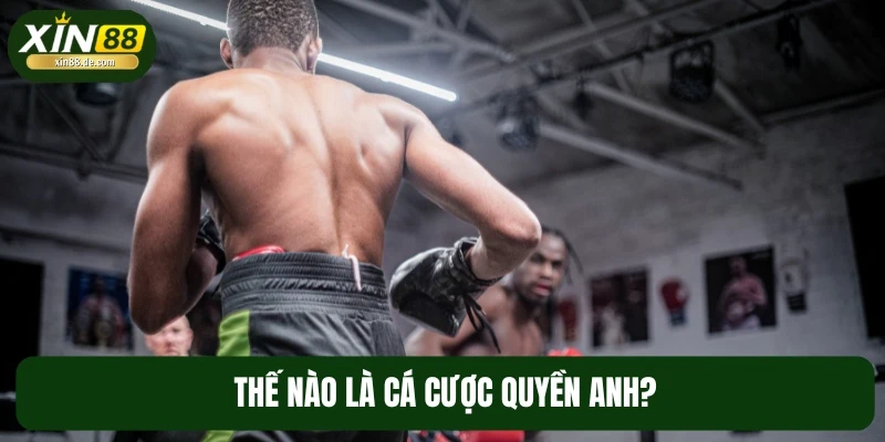 Cá cược quyền anh từ lâu đã được nhiều người yêu thích