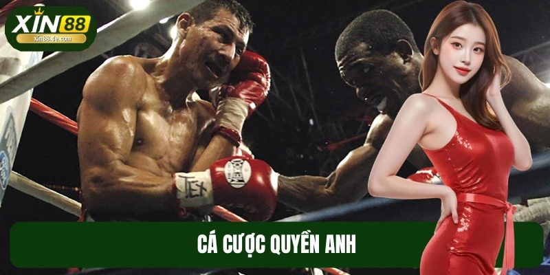 Cá Cược Quyền Anh XIN88 - Mẹo Vào Tiền An Toàn Cho Bạn Mới