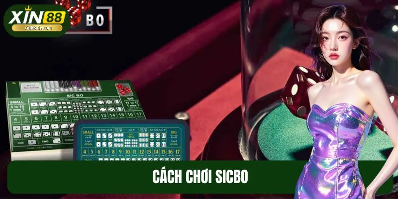 Cách Chơi Sicbo Bài Bản, Thắng Đều Mỗi Ngày Tại XIN88
