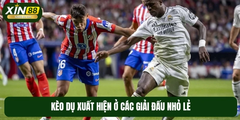 Người chơi rất dễ sập bẫy khi cược ở giải đấu nhỏ