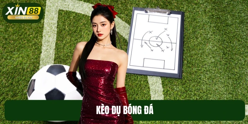 Kèo Dụ Bóng Đá - Cách Nhận Biết Nhanh Chóng Nhất Từ XIN88
