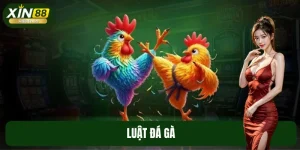 Luật Đá Gà Tại XIN88: Những Nguyên Tắc Quan Trọng Cần Nắm