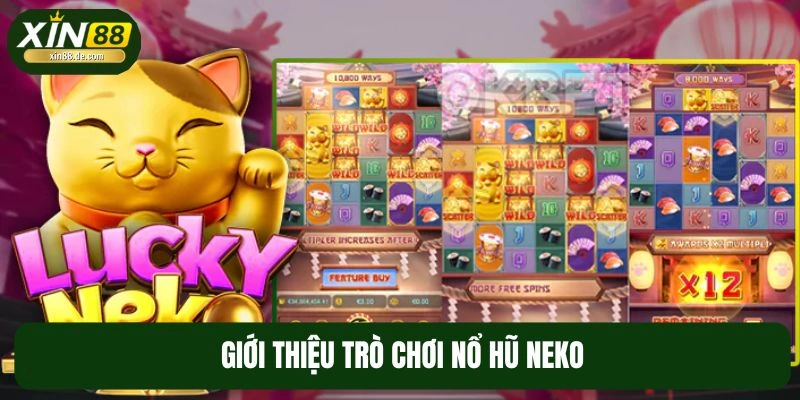 Giới thiệu sơ lược về slot mèo Neko