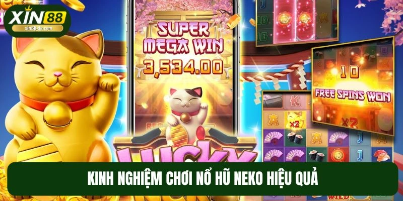 Kinh nghiệm chinh phục slot mèo Neko hiệu quả