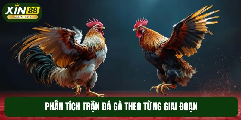 Nắm rõ từng giai đoạn trong quá trình phân tích