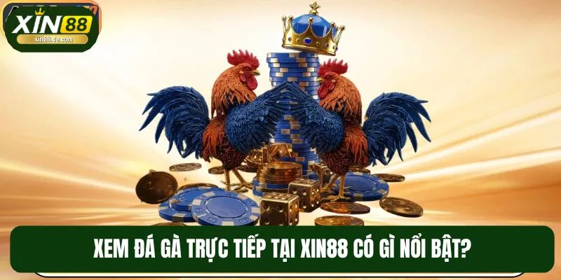 Xem đá gà trực tiếp cực mãn nhãn