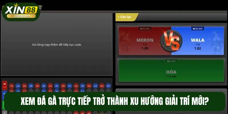Sức hấp dẫn của xem đá gà trực tiếp cực lớn