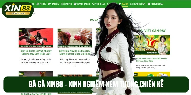 Đá gà là chuyên mục mang đến hàng trăm mẹo cho sư kê XIN88